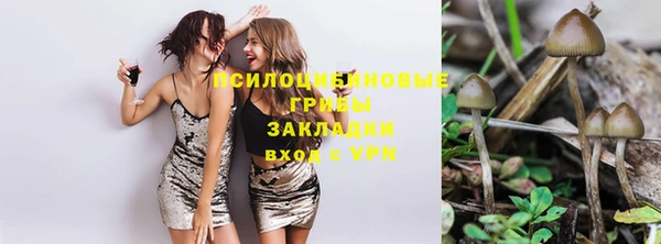 PSILOCYBIN Алзамай