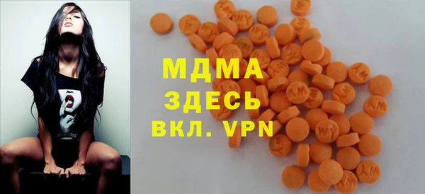 PSILOCYBIN Алзамай
