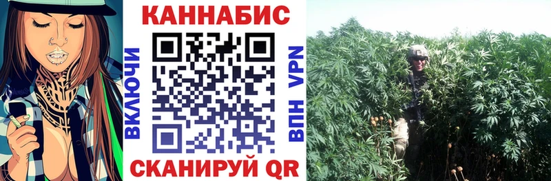 Конопля Bruce Banner Усинск